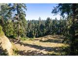 0 Majestic Shores Rd - Photo 11