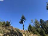 0 Majestic Shores Rd - Photo 21