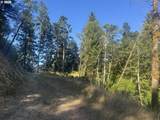 0 Majestic Shores Rd - Photo 22