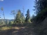 0 Majestic Shores Rd - Photo 25