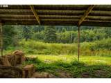 3832 Cavitt Rd - Photo 22