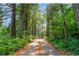 3832 Cavitt Rd - Photo 3