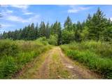 3832 Cavitt Rd - Photo 31