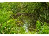3832 Cavitt Rd - Photo 32