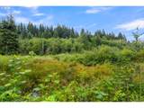 3832 Cavitt Rd - Photo 41