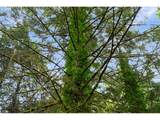 3832 Cavitt Rd - Photo 43