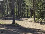 19 Elk Haven - Photo 6