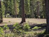19 Elk Haven - Photo 7