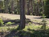 19 Elk Haven - Photo 8