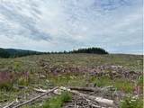  Northrup Creek Rd - Photo 9