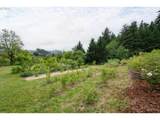 44518 Mckenzie Hwy - Photo 31