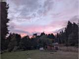 44518 Mckenzie Hwy - Photo 41