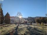 44518 Mckenzie Hwy - Photo 43