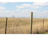 5704 Keene Rd - Photo 30