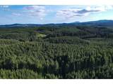 0 Ervin Rd - Photo 4