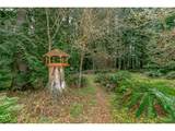 53221 Marmot Rd - Photo 33