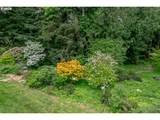53221 Marmot Rd - Photo 45