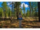 56385 Trailmere Cir - Photo 1