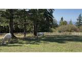 21030 Bald Peak Rd - Photo 34