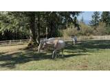 21030 Bald Peak Rd - Photo 35