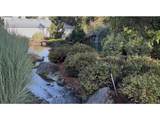 21030 Bald Peak Rd - Photo 39