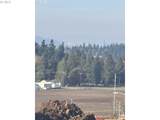 16092 Serres Farms Way - Photo 3