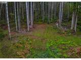 1 Lot Bison Run - Photo 4