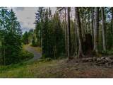 1 Lot Bison Run - Photo 8