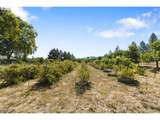 220 Faver Dr - Photo 40
