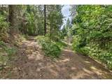 1910 Proctor Rd - Photo 30