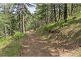 1910 Proctor Rd - Photo 31