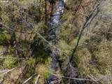 1910 Proctor Rd - Photo 41