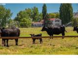 59047 Old Lake Rd - Photo 45