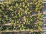 14780 Goodrich Creek Ln - Photo 2