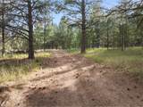 14780 Goodrich Creek Ln - Photo 6