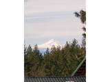 11 Deer Ridge Rd - Photo 40