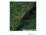  S Fork Molalla Rd - Photo 3