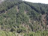  S Fork Molalla Rd - Photo 4