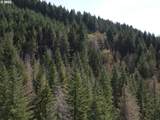  S Fork Molalla Rd - Photo 5