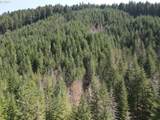  S Fork Molalla Rd - Photo 6