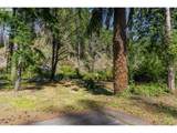 47987 Mckenzie Hwy - Photo 5