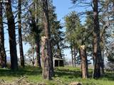 145 Hill Rd - Photo 34