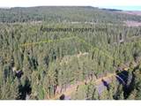  Hwy 97 - Photo 1