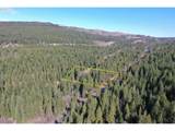  Hwy 97 - Photo 2