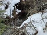  Hwy 97 - Photo 34