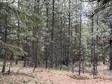  Hwy 97 - Photo 4