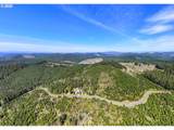  Cg - Lorane Rd - Photo 5