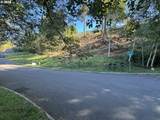  Jake Mann Ln - Photo 1