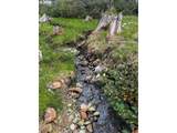 95631 Highway 101 - Photo 11