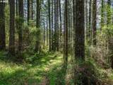 18675 Forest Park Rd - Photo 1